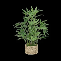 Artif. Bamboe BRODOU in Mand Nat.