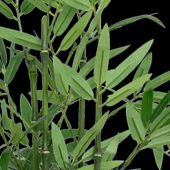 Artif. Bamboe BRODOU in Mand Nat.