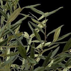 Artif. Plant OLIVIER