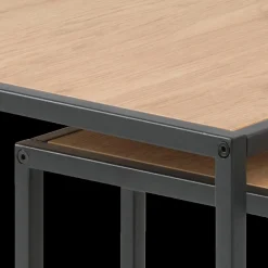 Bijzettafel Set van 2 BOKSKAP Wild Oak