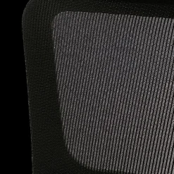 Bureaustoel BJORN Verstelbaar Mesh Zwart