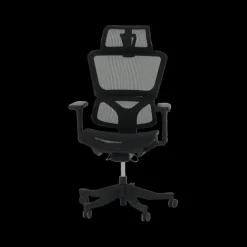 Bureaustoel BJORN Verstelbaar Mesh Zwart