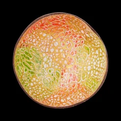 Cocosbowl NOYA Lime Green/Red Eggshel