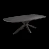 Eettafel ARTEGO Ovaal Sterpoot 200x100 Zwart