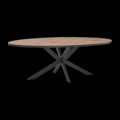Eettafel DELPHINE Ovaal 220x110 Sterpoot Zwart