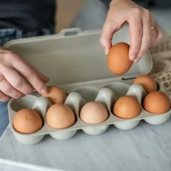 Eierdoos EGGS TO GO Nat. Desert Sand