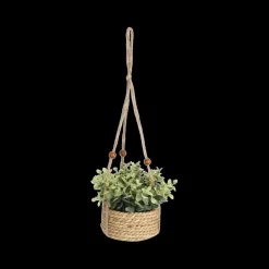 Hangplant KM Artif. in Mand Ass.