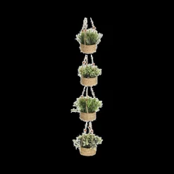 Hangplant KM Artif. in Mand Ass.