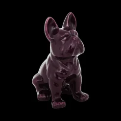 Hond QOZMO Ker. Violet