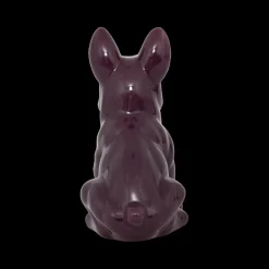 Hond QOZMO Ker. Violet