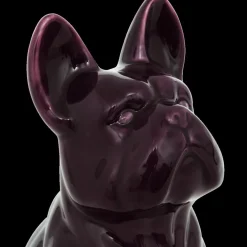 Hond QOZMO Ker. Violet