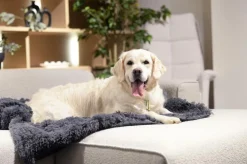 Hondendeken Sofa BOMMEL M L.Grijs