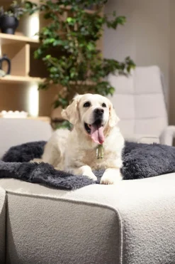 Hondendeken Sofa BOMMEL M Dk.Grijs