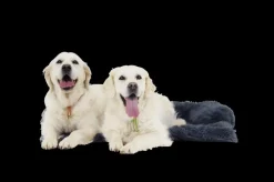 Hondendeken Sofa BOMMEL M Dk.Grijs