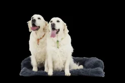 Hondendeken Sofa BOMMEL M Dk.Grijs