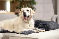 Hondendeken Sofa BOMMEL S Dk.Grijs