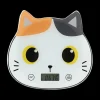 Keukenweegschaal ORANGE CAT
