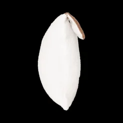 Kussen SCOTT Hond Wit/Bruin