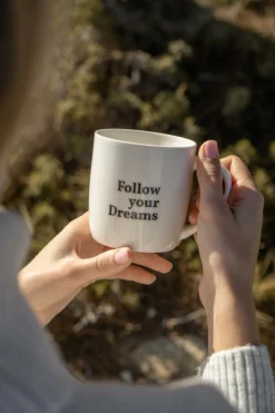 Mok Follow Your Dreams