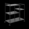 Opbergtrolley 3 leggers SPARROW Metaal Zwart