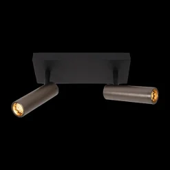 Plafondspot GRADO 2Del. Grijs