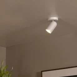 Plafondspot PUNCH 1Del. Wit