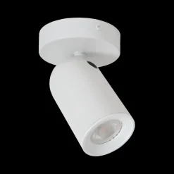 Plafondspot PUNCH 1Del. Wit