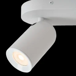 Plafondspot PUNCH 2Del. Wit