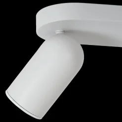 Plafondspot PUNCH 4Del. Wit