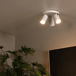 Plafondspot PUNCH 3Del. Wit