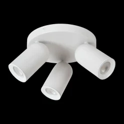 Plafondspot PUNCH 3Del. Wit