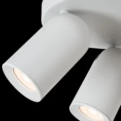 Plafondspot PUNCH 3Del. Wit