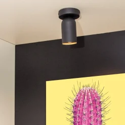 Plafondspot PUNCH 1Del. Zwart