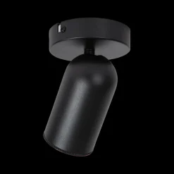 Plafondspot PUNCH 1Del. Zwart