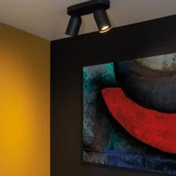 Plafondspot PUNCH 2Del. Zwart