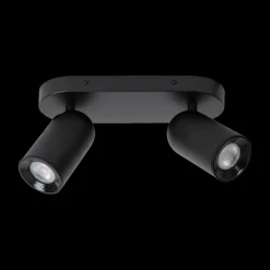 Plafondspot PUNCH 2Del. Zwart