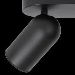 Plafondspot PUNCH 2Del. Zwart