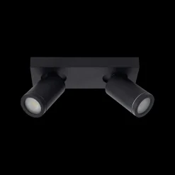 Plafondspot TAYLOR 2Del. Zwart
