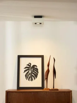 Plafondspot XIRAX Wit