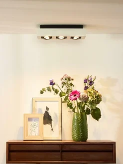 Plafondspot XIRAX Wit