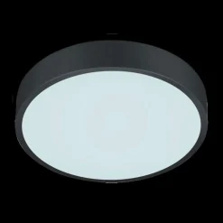 Plafonier WACO Ø30 Met. Mat Zwart