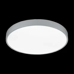 Plafonier WACO Ø50 Met. Titaan