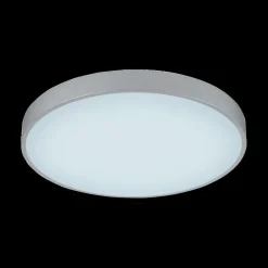 Plafonier WACO Ø50 Met. Titaan