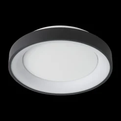 Plafonnier VIDAL Ø28 Zwart