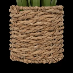 Plant Artif. ZHYA L in Mand