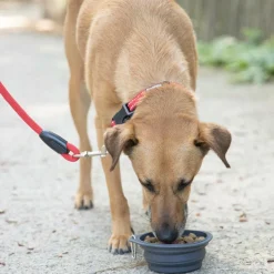 Plooibare voederbak KNAPS