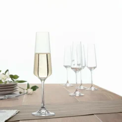 S/6 Champagneglas SELENGA 16cl