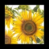 S/20 Serviet SUNFLOWER Geel