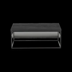 Salontafel AISNE Zwart eiken