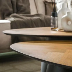 Salontafel FLORUS S/2 Organisch Rock